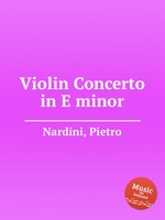 Violin Concerto in E minor
