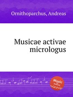 Musicae activae micrologus