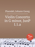 Violin Concerto in G minor, JunP I.1.a