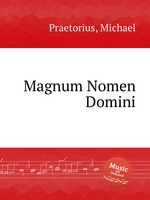 Magnum Nomen Domini
