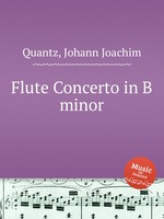 Flute Concerto in B minor