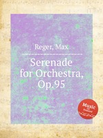 Serenade for Orchestra, Op.95