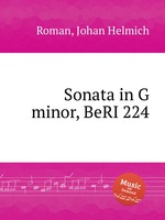 Sonata in G minor, BeRI 224
