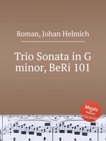 Trio Sonata in G minor, BeRi 101