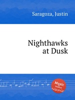 Nighthawks at Dusk