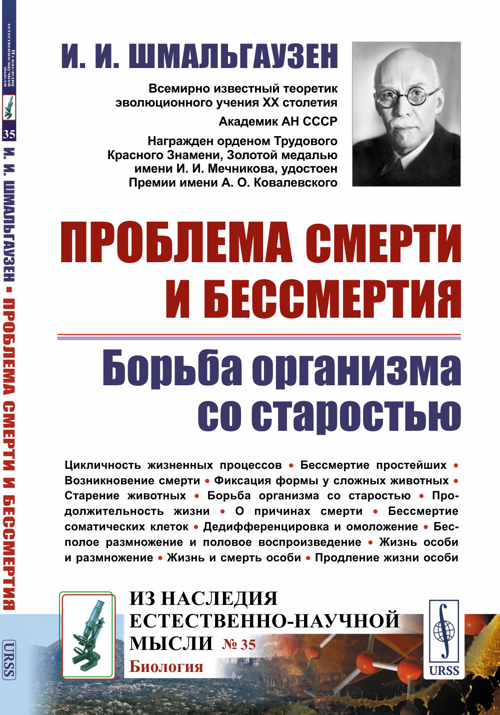Модные шляпки для девочек