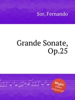Grande Sonate, Op.25