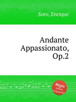 Andante Appassionato, Op.2