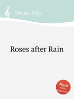 Roses after Rain