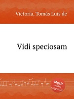 Vidi speciosam