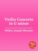 Violin Concerto in G minor