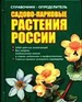Справочник-определитель. Садово-парковые растения России
