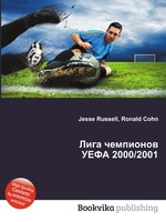 Лига чемпионов УЕФА 2000/2001