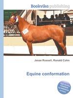 Equine conformation