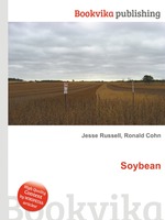 Soybean