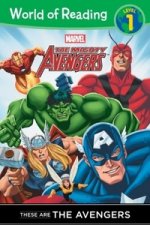 Avengers: These Are the Avengers (Level 1 Reader)