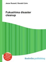 Fukushima disaster cleanup