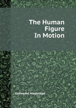 The Human Figure In Motion