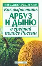 Как вырастить арбуз и дыню в средней полосе России