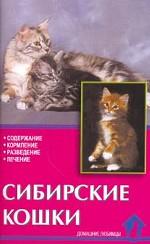 Сибирские кошки
