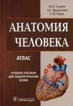 Анатомия человека  Атлас