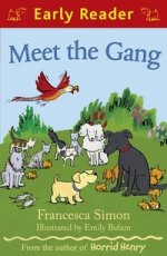 Meet the Gang  (Book +D)