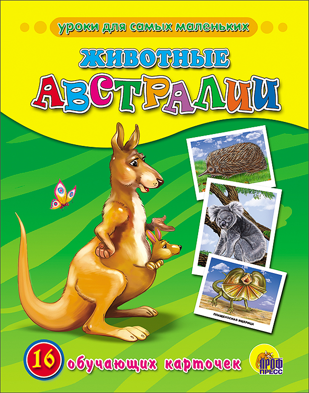 ОБУЧАЮЩИЕ КАРТОЧКИ. ЖИВОТНЫЕ АВСТРАЛИИ