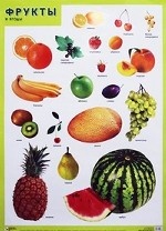 Фрукты и ягоды. Плакат