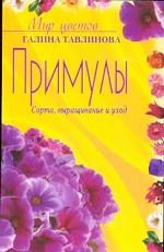 Примулы Сорта выращивание и уход