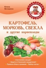 Картофель, морковь, свекла и другие корнеплоды