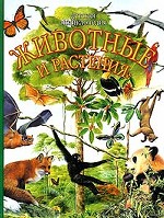 Детская энциклопедия: животные и растения