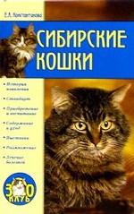 Сибирские кошки.  Воспитание и уход История появления
