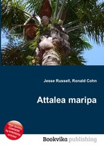 Attalea maripa