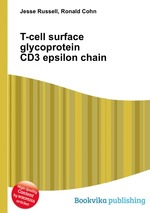 T-cell surface glycoprotein CD3 epsilon chain