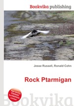 Rock Ptarmigan