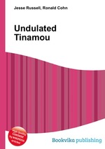 Undulated Tinamou