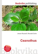 Ceanothus