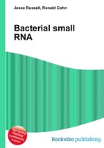 Bacterial small RNA