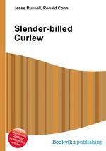 Slender-billed Curlew