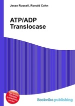 ATP/ADP Translocase