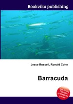 Barracuda