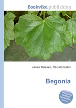 Begonia