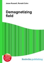 Demagnetizing field
