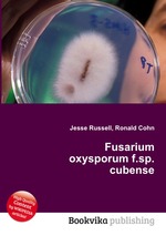 Fusarium oxysporum f.sp. cubense