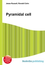 Pyramidal cell