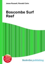 Boscombe Surf Reef