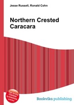 Northern Crested Caracara
