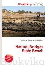 Natural Bridges State Beach