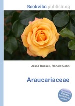 Araucariaceae