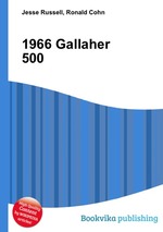 1966 Gallaher 500